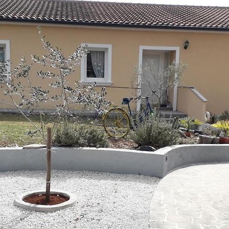 Apartment Andjel Пореч Экстерьер фото